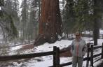 Junto à 'General Grant', a terceira maior árvore no Sequoia National Park,  na Califórnia - EUA